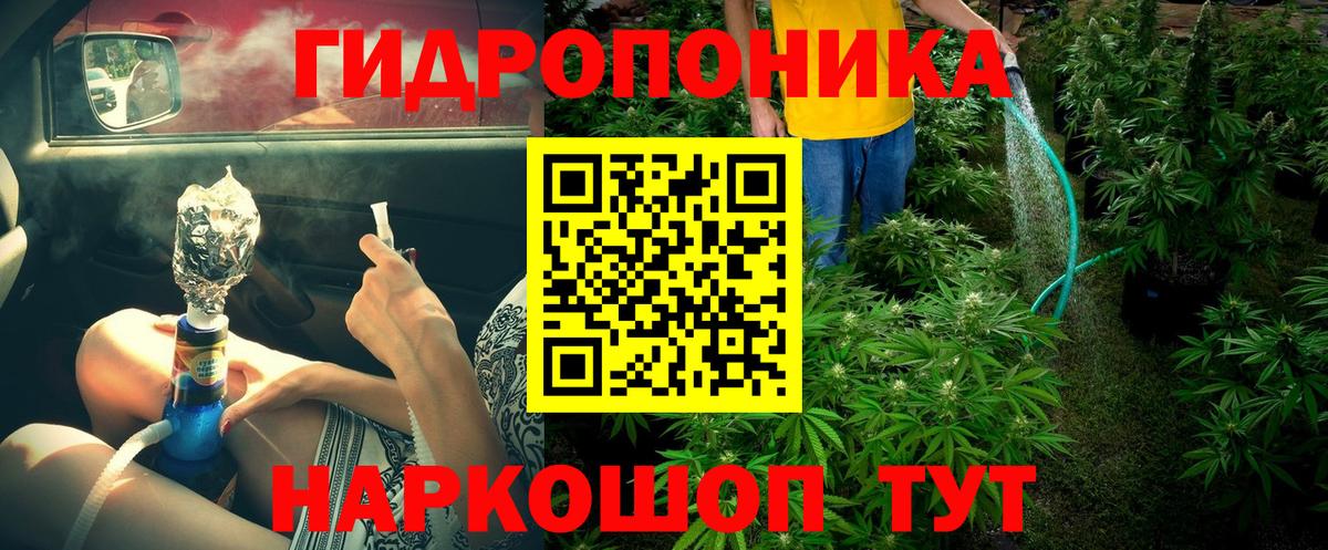 Каннабис OG Kush Раменское